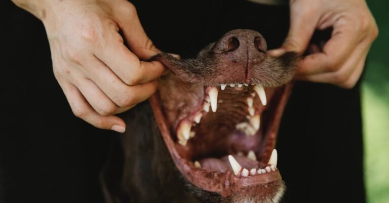 Simple Ways You Can Whiten Your Teeth