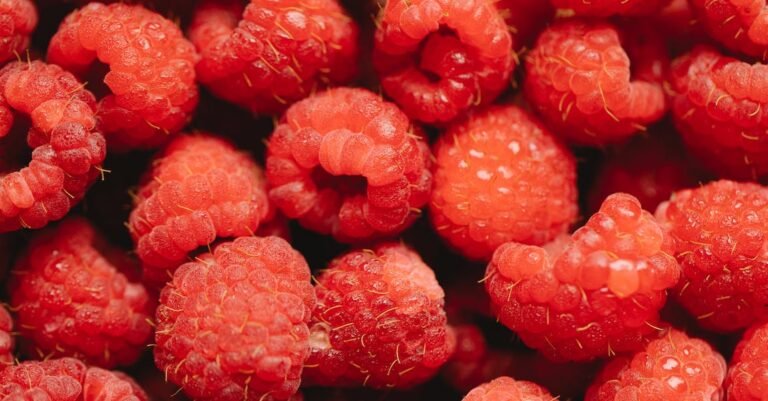 Using The Power Of Juicing To Improve Your Nutrition!