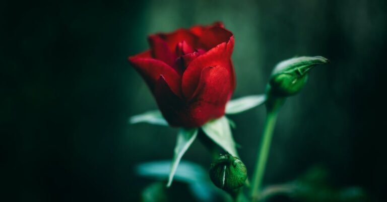 Natural Beauty, Health & Happiness Go Hand-In-Hand